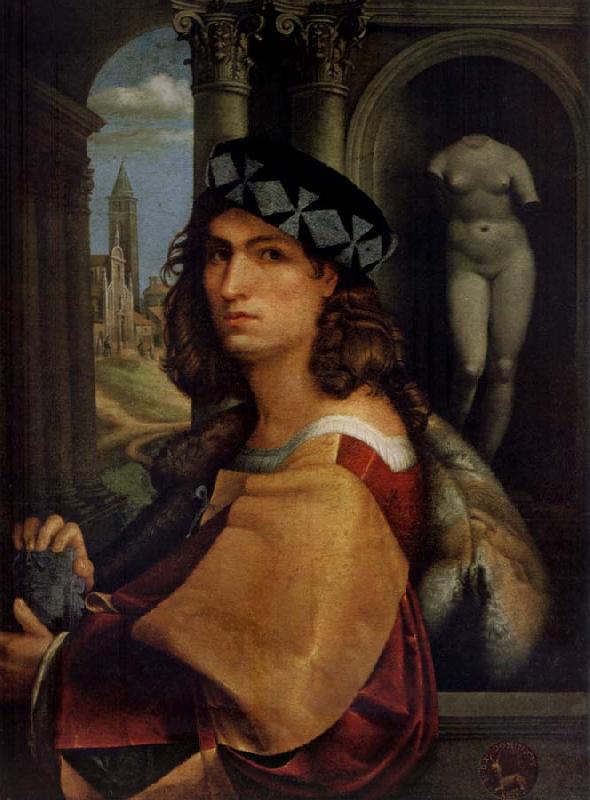 CAPRIOLO, Domenico Portrait of a man oil painting image